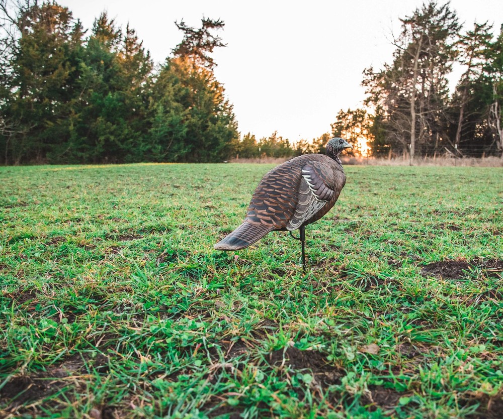 Flextone Thunder Breeder Hen Turkey Decoy