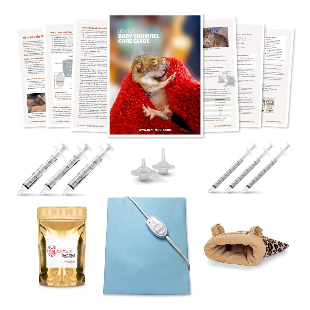 Baby Squirrel Kits