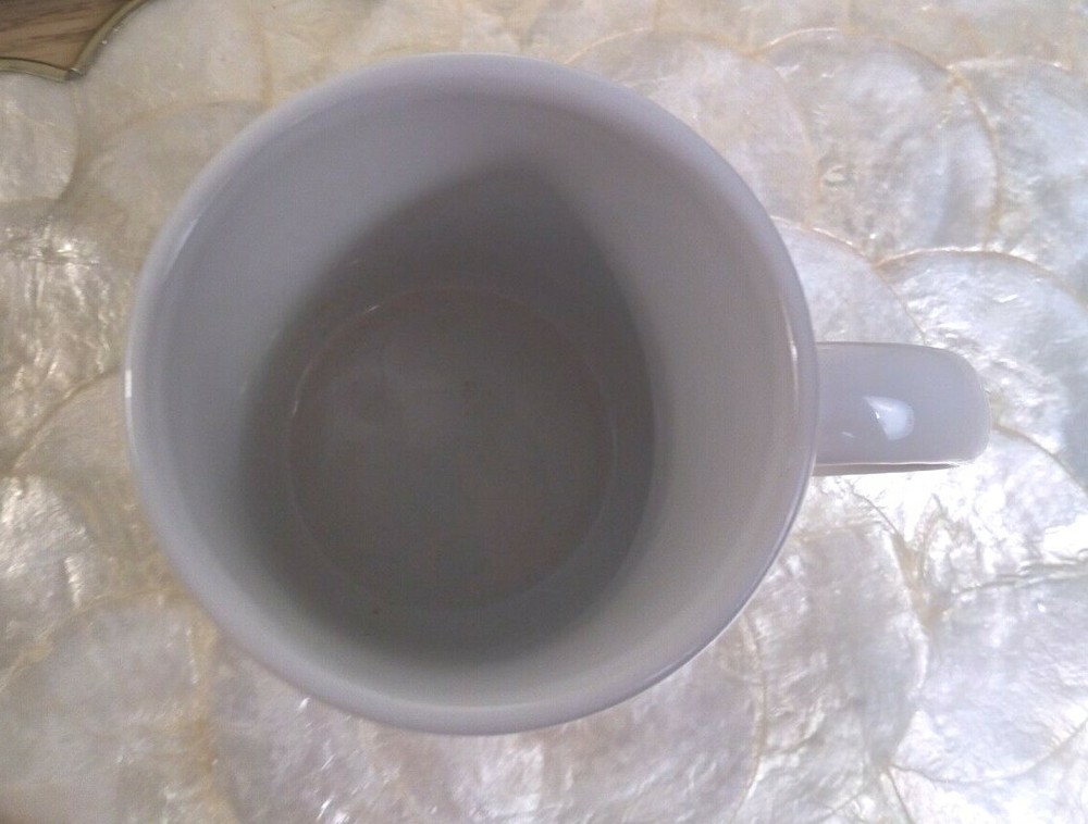 Science Engineering Fair of Houston mug souvenir