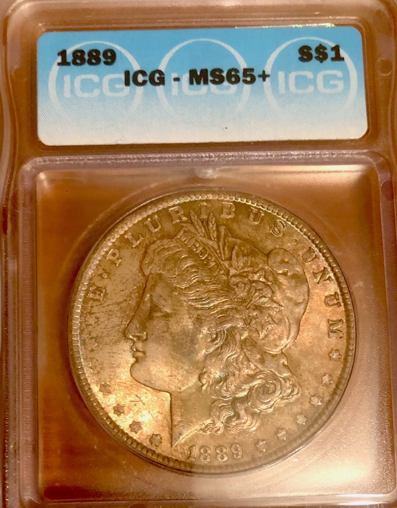 1889 Morgan Dollar Toned