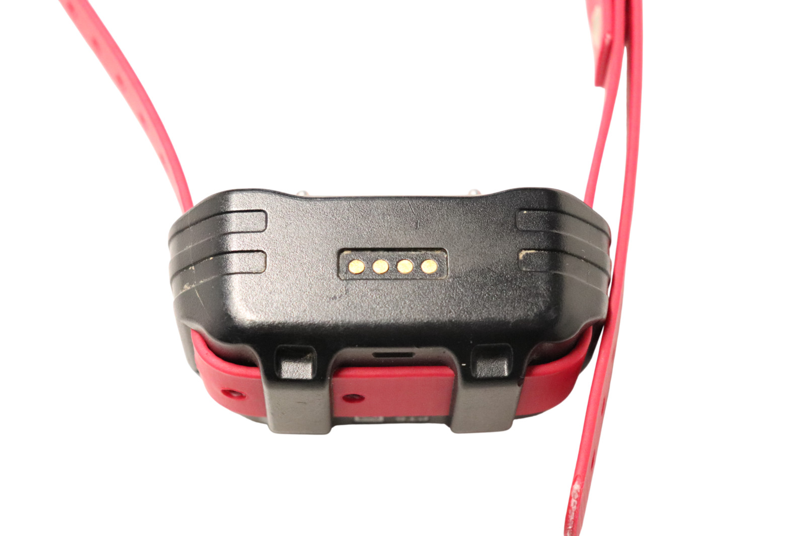 Garmin PRO Series PT6 Collar - Great Condition - Short Contacts - Red Strap