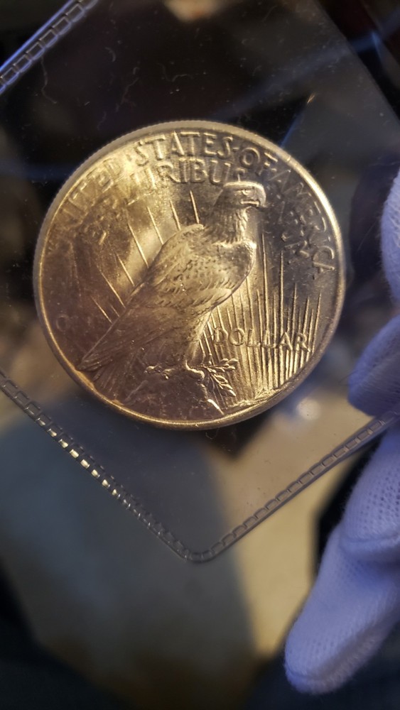 1925 P Peace Dollar BU