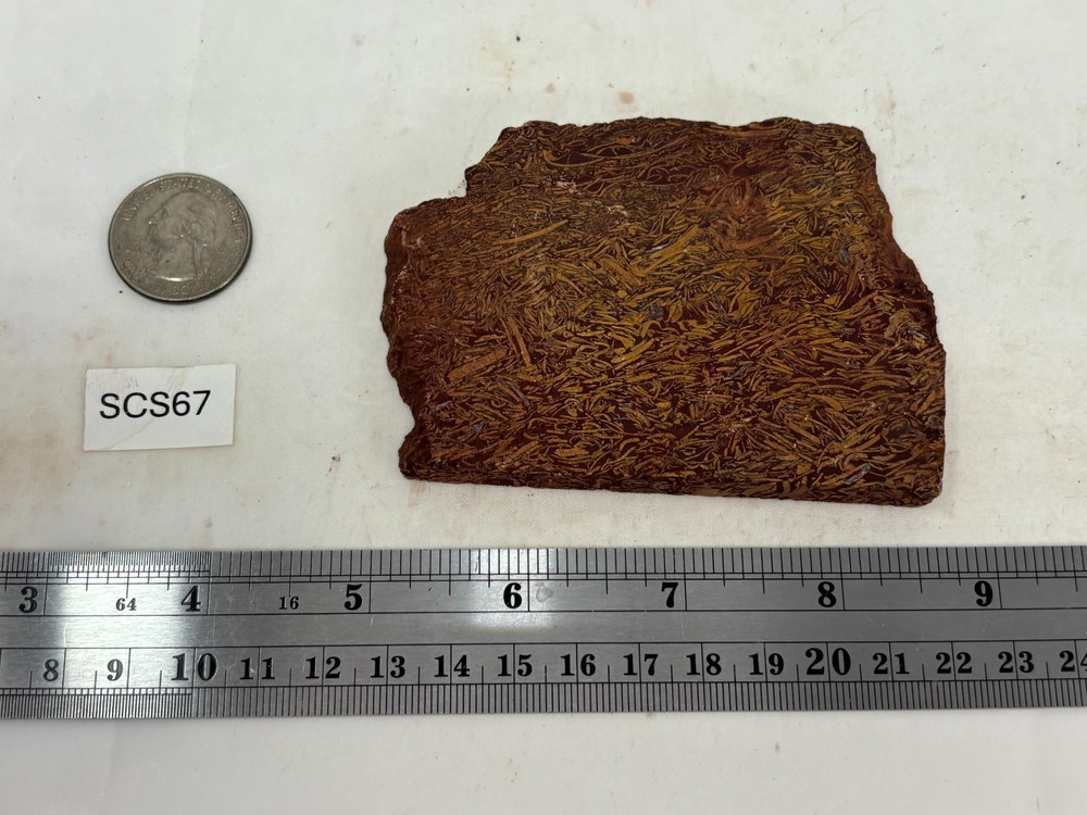Script Stone Jasper Slab Cabbing Lapidary Collecting Combo Ship Avail