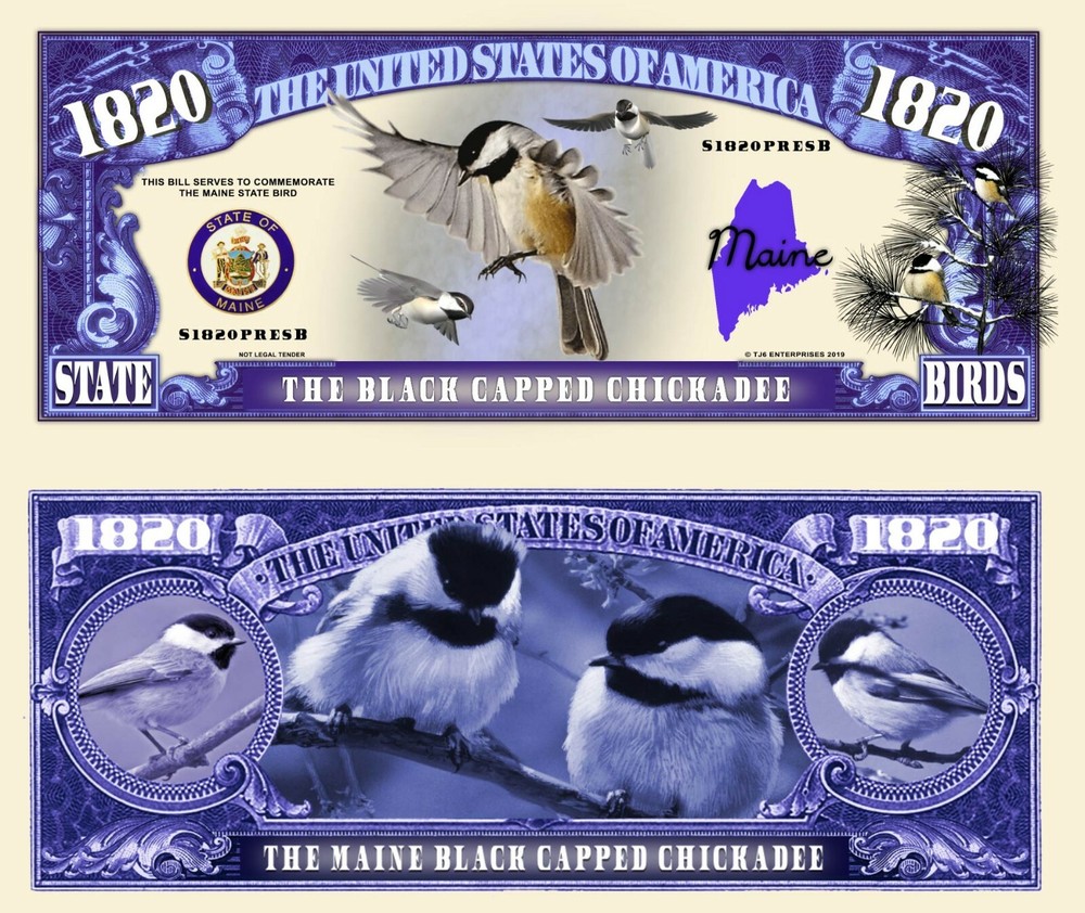 OUR MAINE BLACK CAPPED CHICKADEE DOLLAR BILL