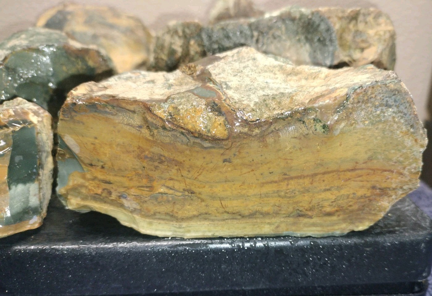 8.7LB ORBS Blue Mountain Picture Jasper Rough 6pc Lot #27