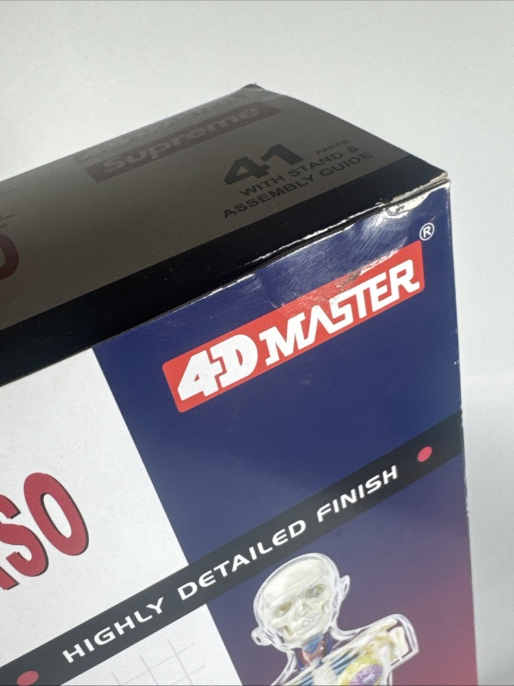 NEW Supreme Transparent Pregnancy Torso