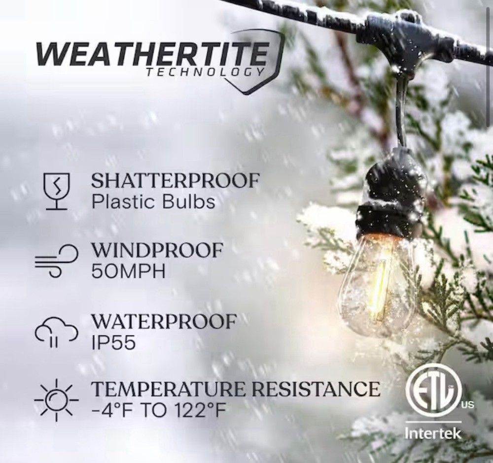 BRIGHTECH Ambience Pro Outdoor 48 ft. LED Edison Bulb Hanging String Light