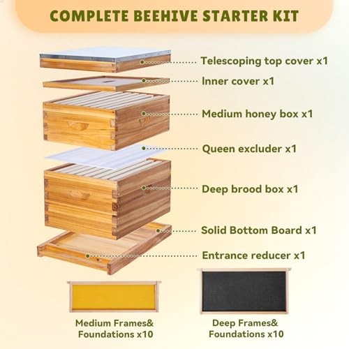 10-Frame Bee Hive Complete Beehive Kit Beeswax Coated Beehive Include Frames