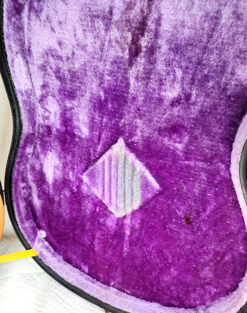 Hand Crafted S101 C2390 Guitar with Case & String - Used