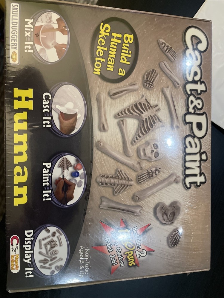 Human Skeleton Custom Cast & Paint Kit - 18 " - Bones Project Science - NIB