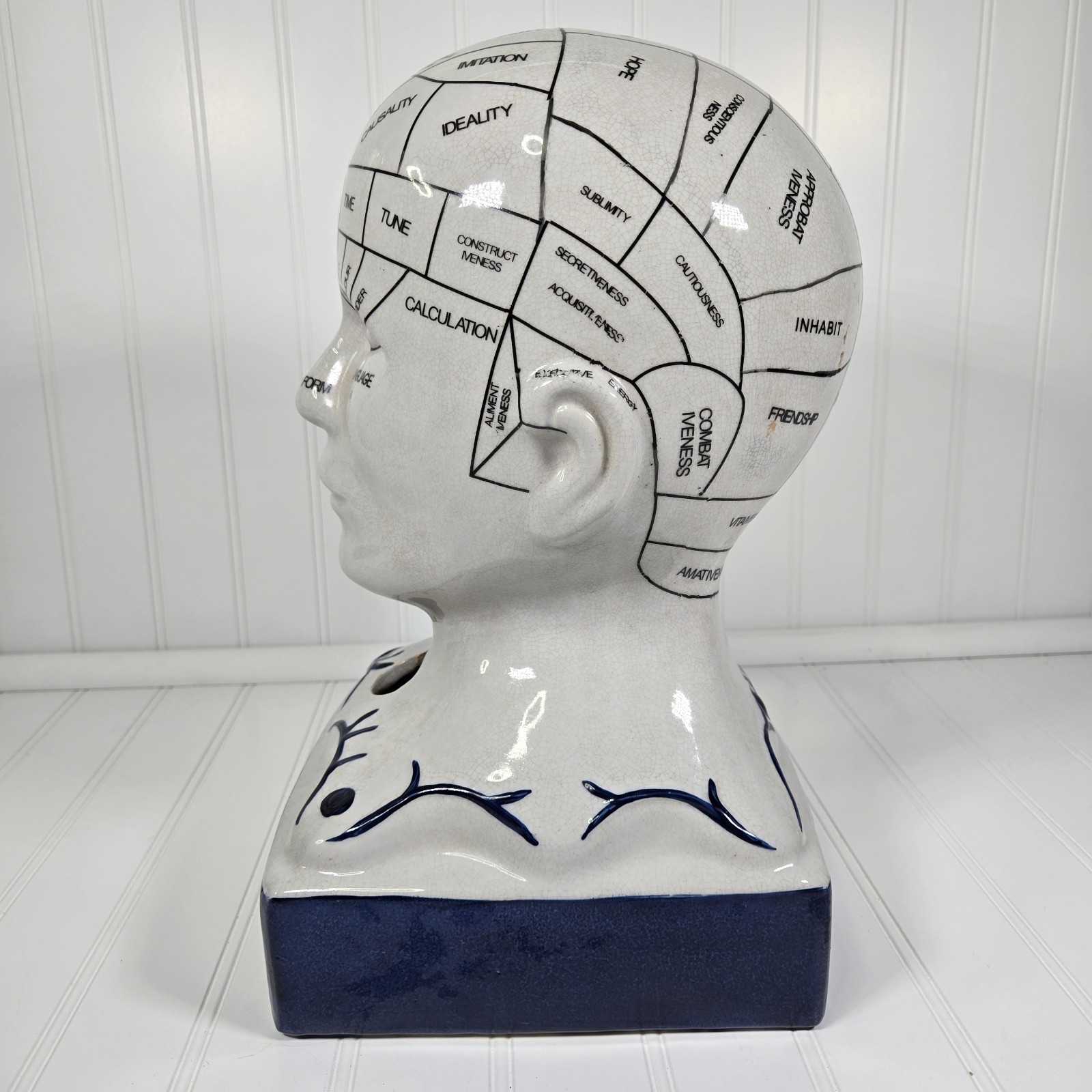 Phrenology Bust Table Head Statue 13” Ceramic Vintage Porcelain Pseudoscience
