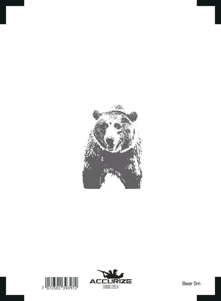 Front target for Accurize shooting system