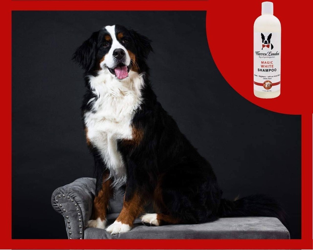 Magic White - Brightening Shampoo - Professional Size