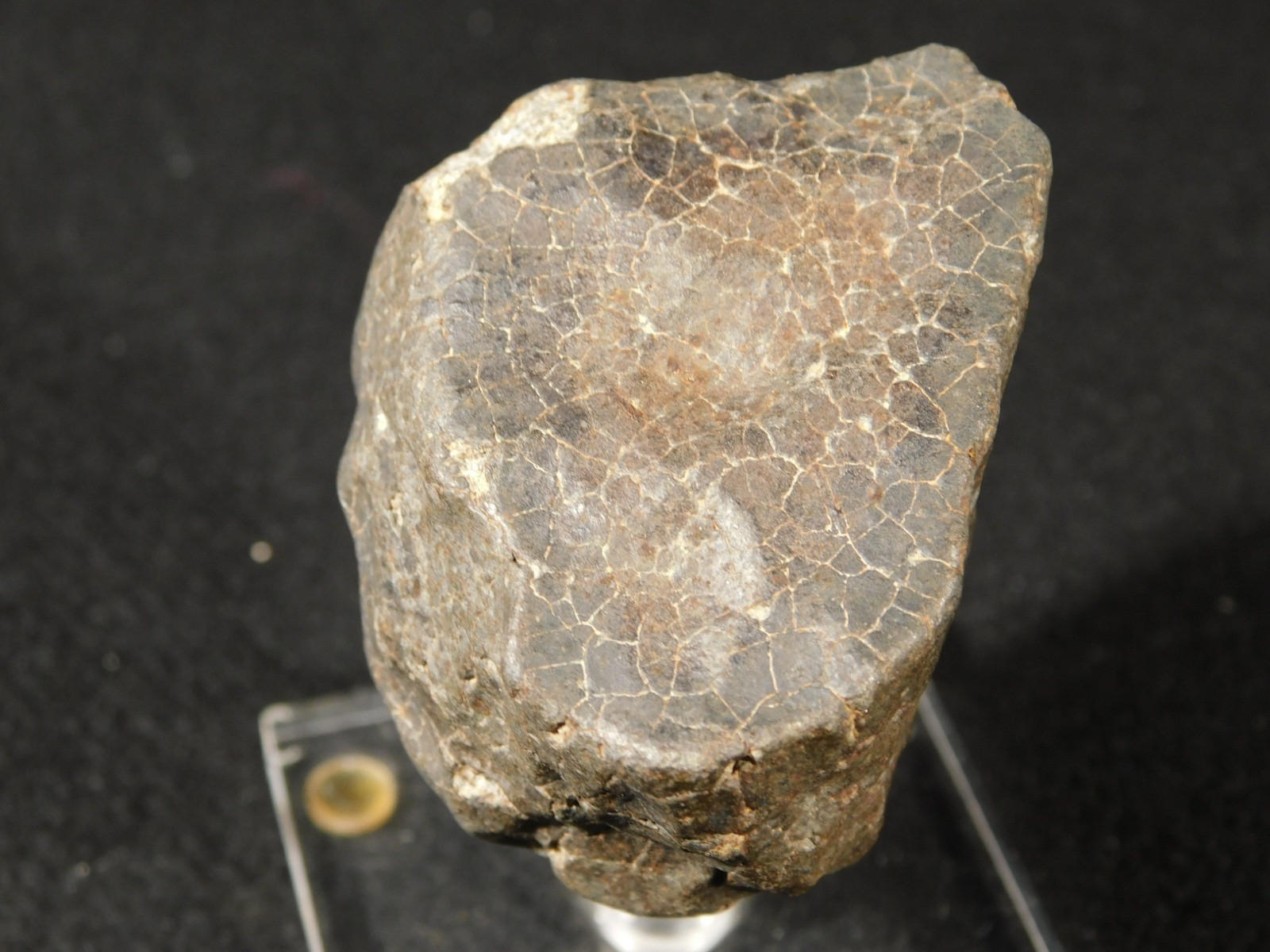 H6 Stony METEORITE Regmaglypts DARK Fusion Crust and Contraction CRACKS! 138gr