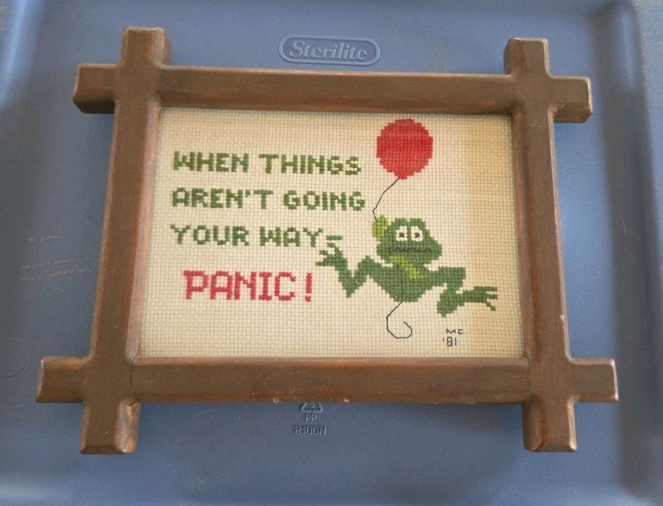 Vintage Frog Funny Needlepoint Embroidery Framed Wall Decor Dated 1981