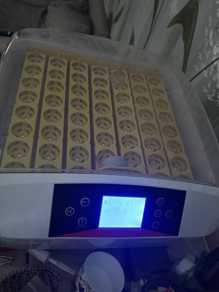 Smart Mini Incubator Digital Egg Incubator 42/56 Eggs Display