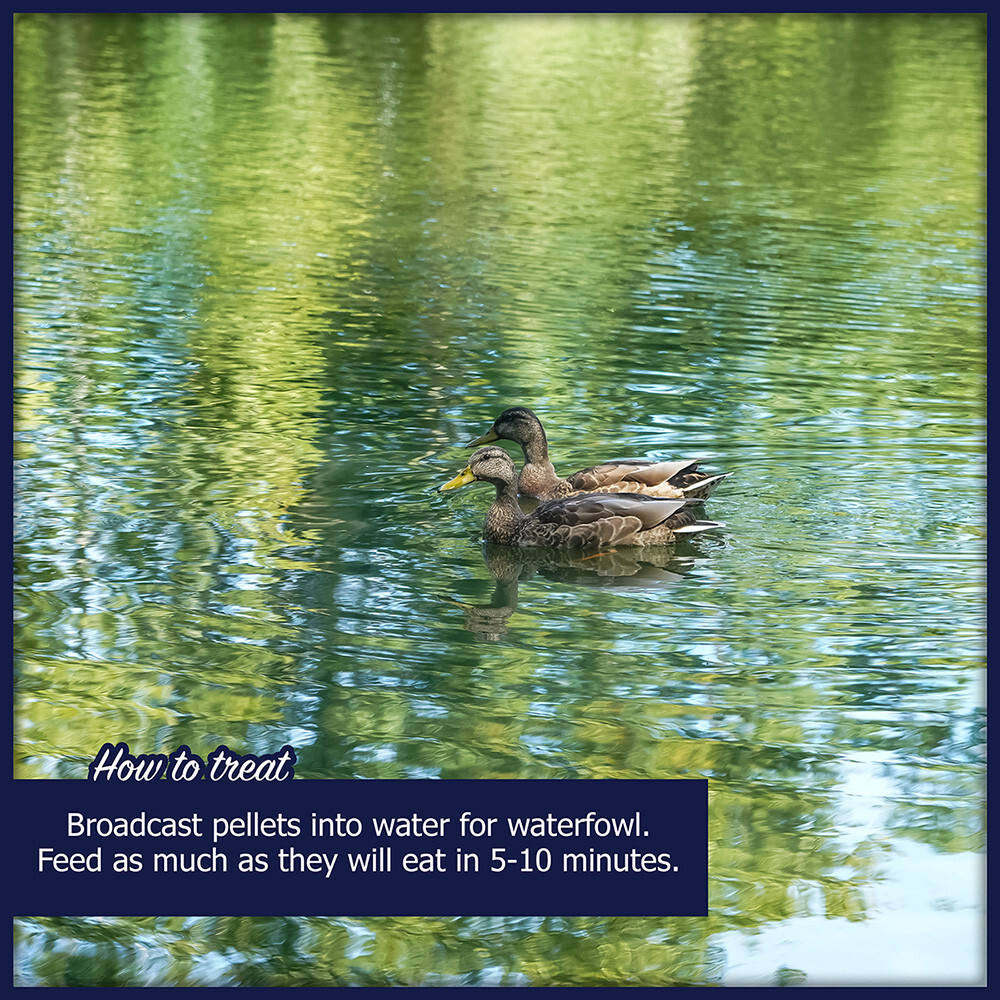 Waterfowl Floating Pellets 5 lb