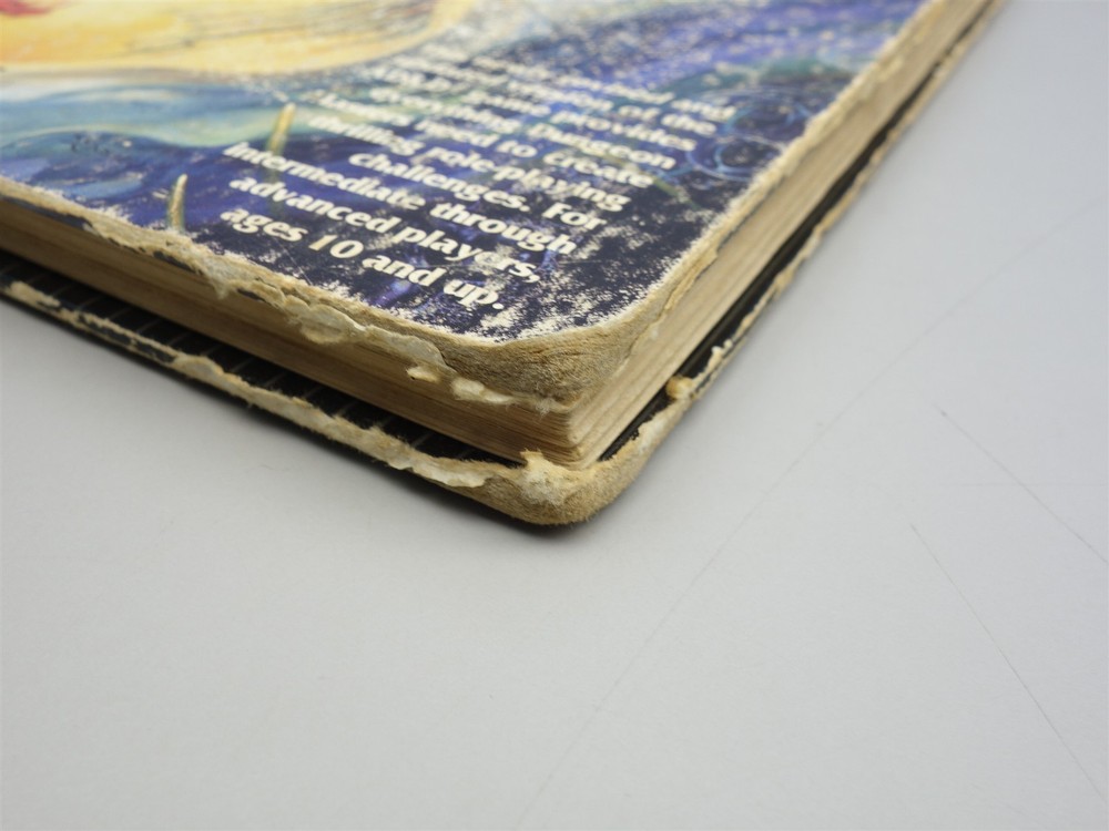 Advanced Dungeons & Dragons, D&D: Dungeon Master's Guide (2nd Edition)