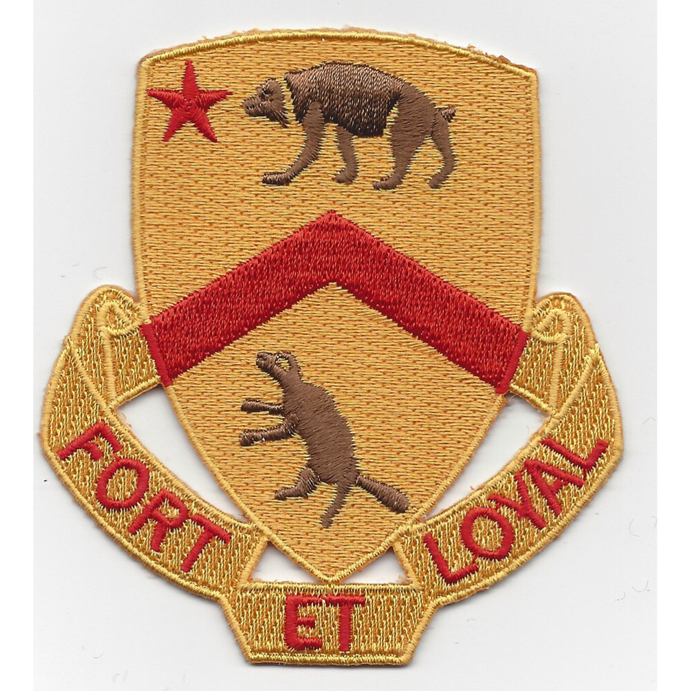 301st Cavalry Regiment Patch
