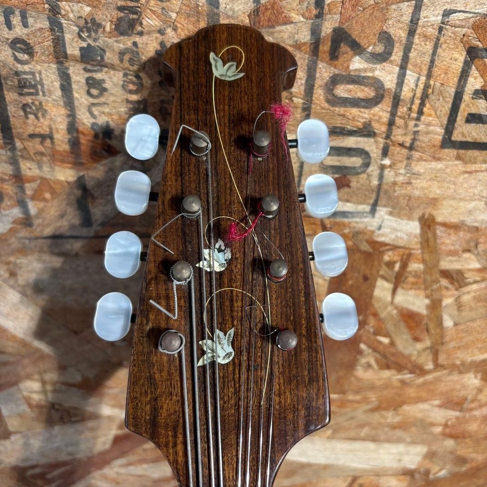 Rafael Carache TYPE.15 Round Mandolin