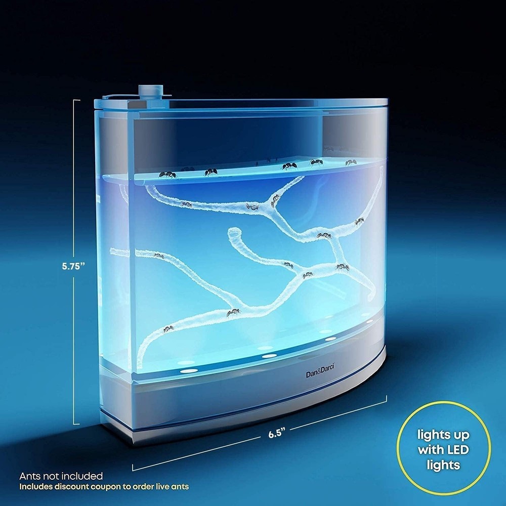 Interactive Light-Up Ant Habitat Kit with Nutrient Gel - Perfect Science Gift