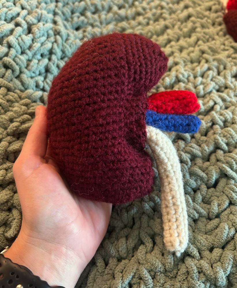 Red hand-crocheted anatomic kidney