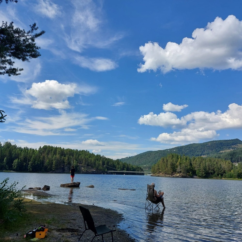 paypal gift card 250