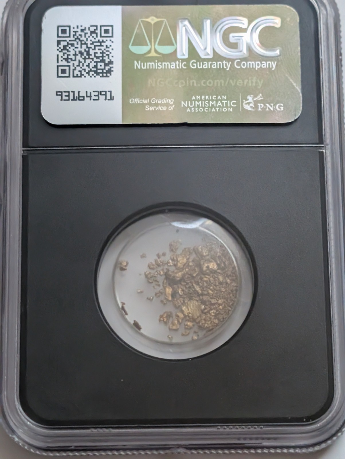 VaultBox SS Central America Gold Dust .880 Fine Gold 1.20g Encapsulated NGC