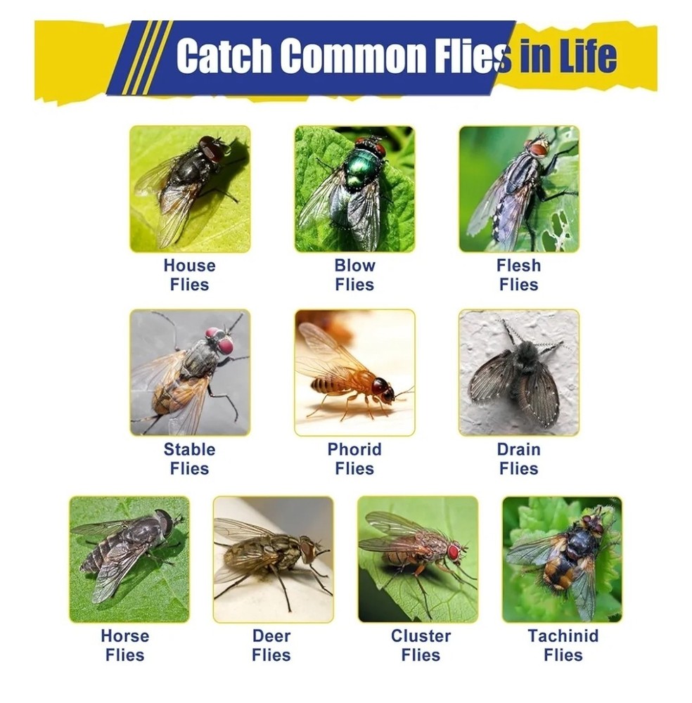 Glovv Fly Trap Refill 10 Packs