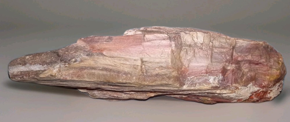 Pink Petrified Wood Rough 2 lbs+ AZ