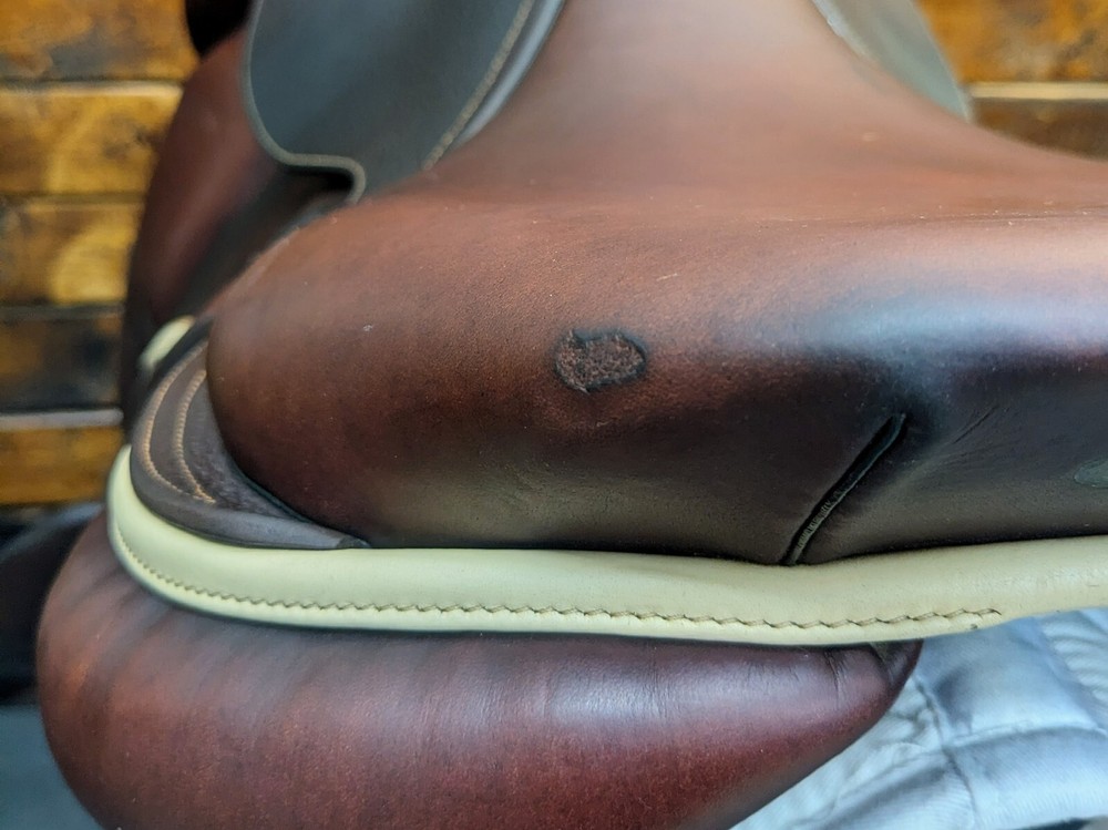 17.5" CWD SE12 2A (2019) *Forward Flaps*