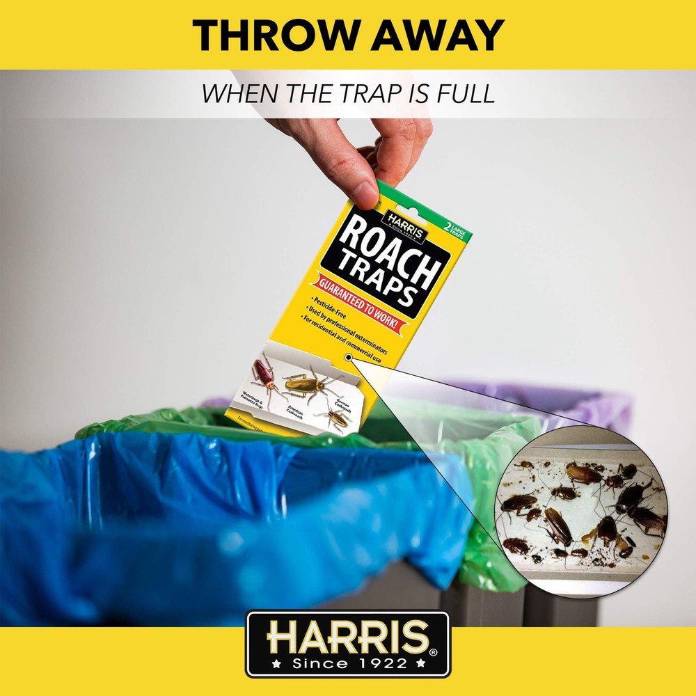 Harris Roach Glue Traps, Non-Toxic (10-Pack) - Pest Control