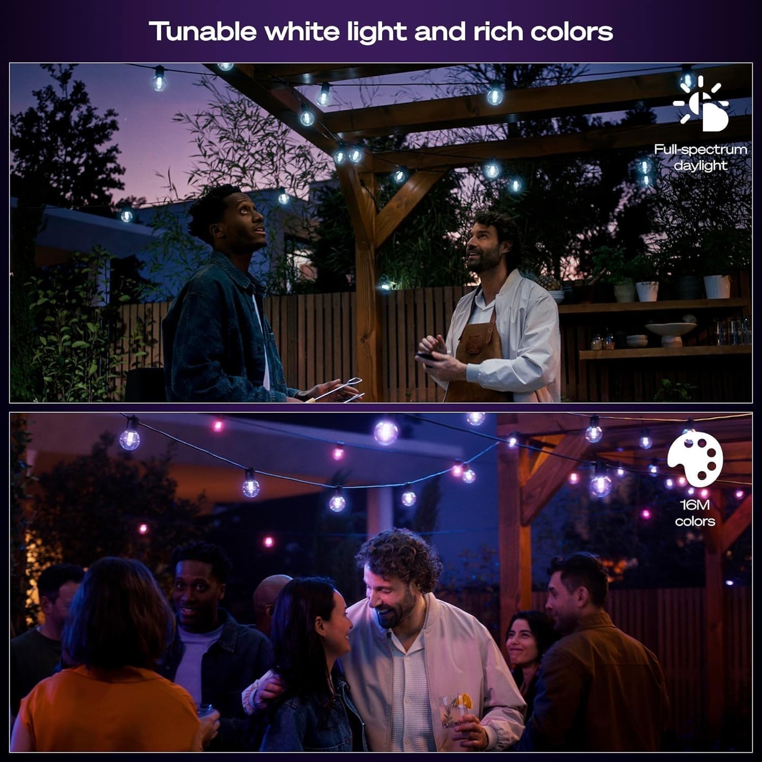 Philips Hue Festavia Globe Outdoor String Lights, Color 45ft,16 Bulbs,black