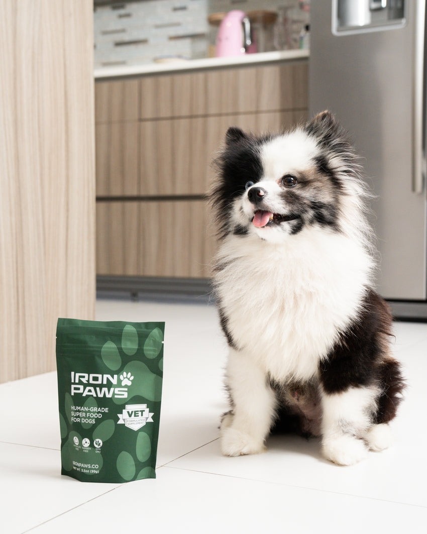 Iron Paws Daily Human-Grade Superfood For Dogs Bag EXP 05/27