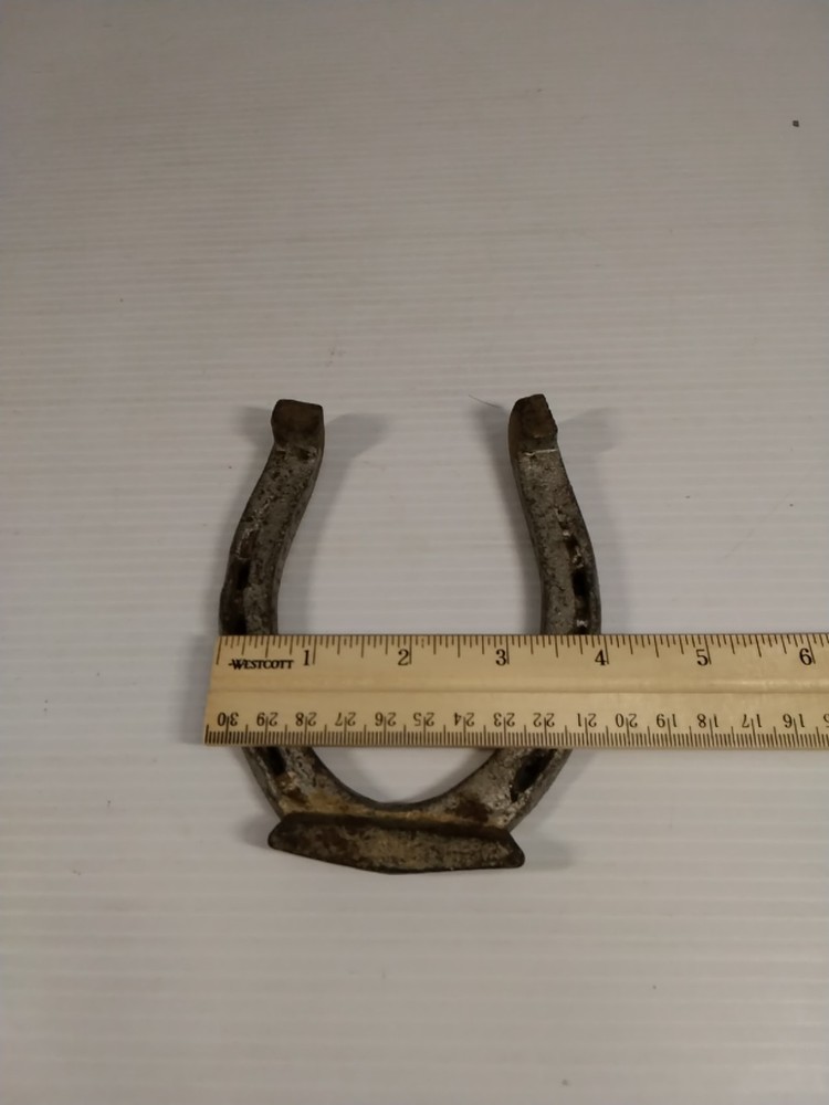 horse shoe