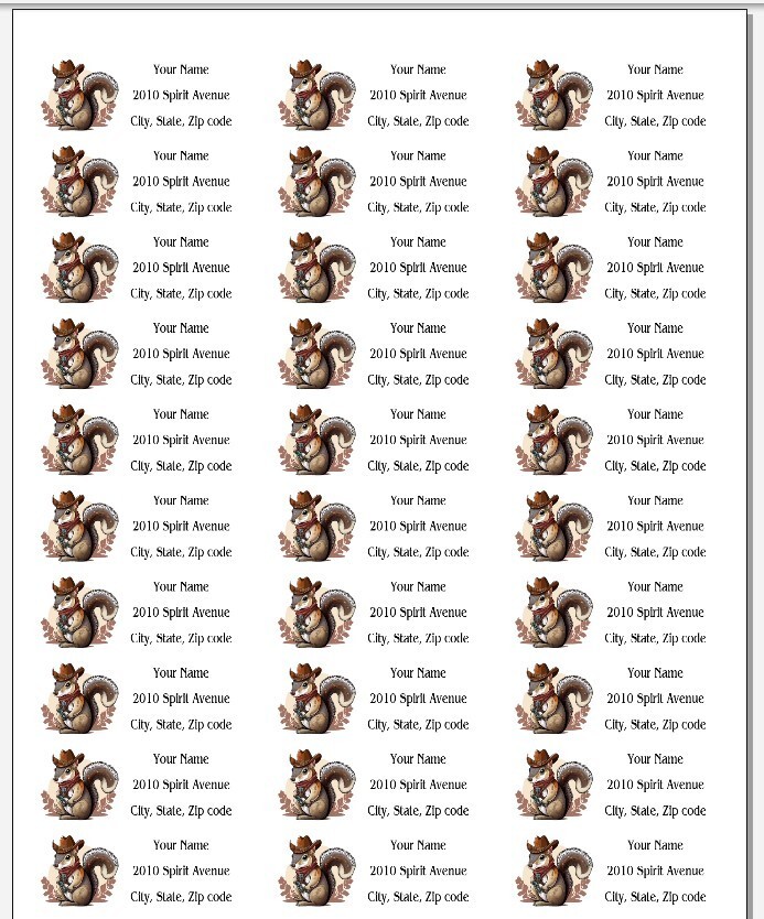 150 Cowboy Squirrel Western Mailing Return Address Labels Personalized