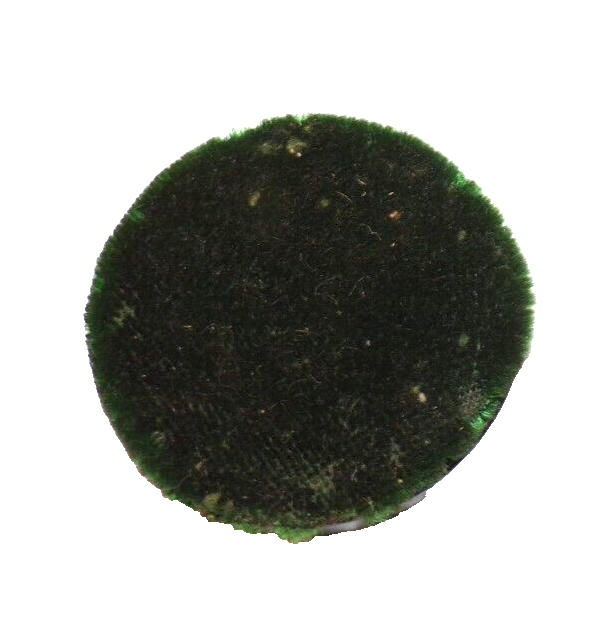 VICTOR COLUMBIA DISC PHONOGRAPH RECORD BRUSH