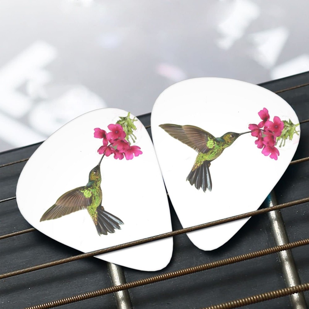 Hummingbird Spring Flower Guitar Picks One Size, 2