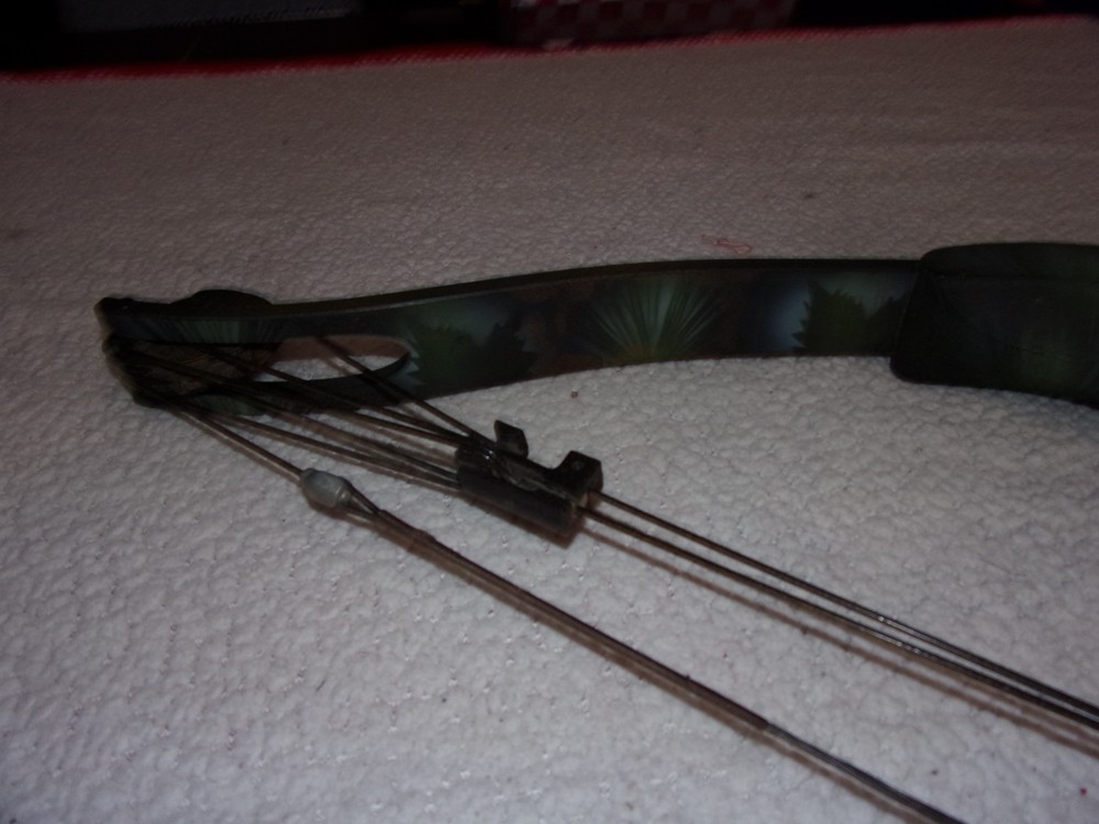 Browning Back Country II Compound Bow