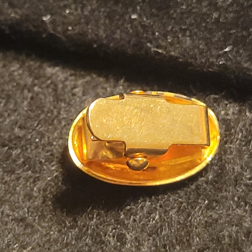 Gold tone rounded rectangle patterned clip tie tack