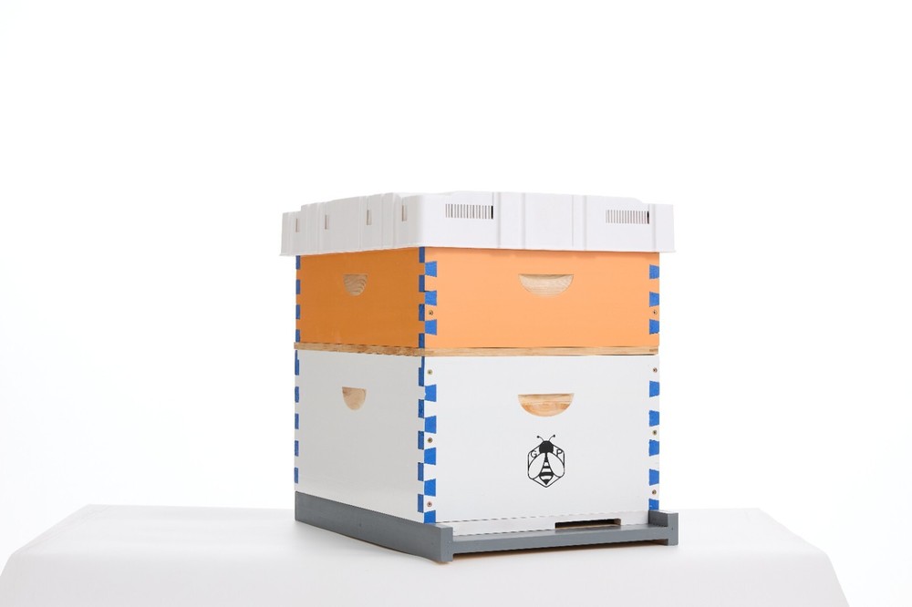 Langstroth Hive Beehive Kit - 20 Frame Box 10 Deep 10 Medium Beekeeping