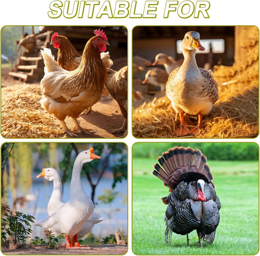 100 Pcs Adjustable Chicken Leg Rings, Multicolor Numbered Chicken Identification