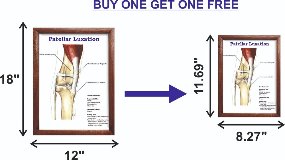 Patellar Luxation Chart 12x18 inches