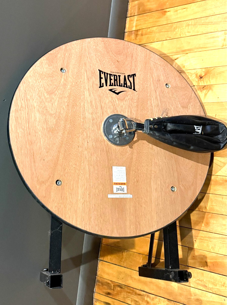 Everlast Boxing Speed Bag Set -