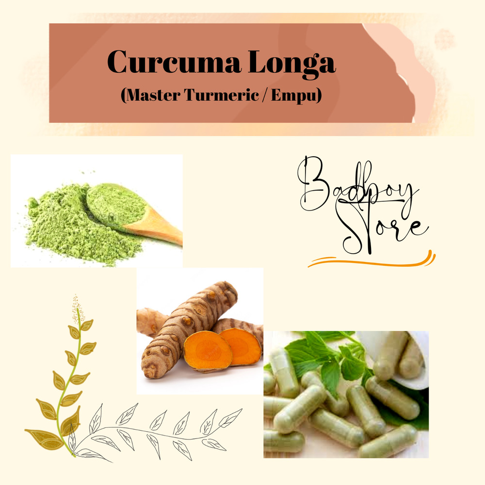 POWDER Master Turmeric Empu Curcuma Longa Organic