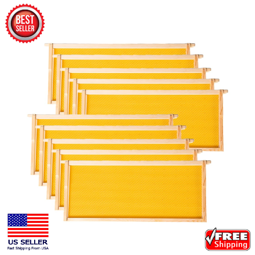 Hives--Deep or Brood Size Beehive Frames and Foundations 10 Pack Honey Bee Frame