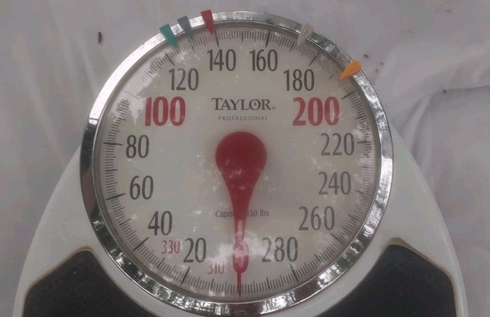 Taylor Professional Large 8" Dial Mechanical Scale