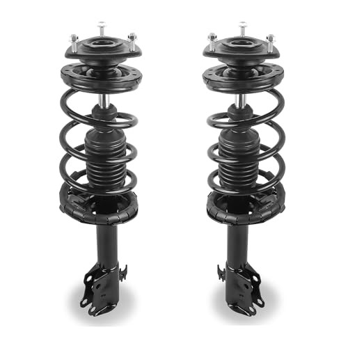 Front Struts & Coil Spring Assembly Shock Absorber 172245 Compatible for Scion