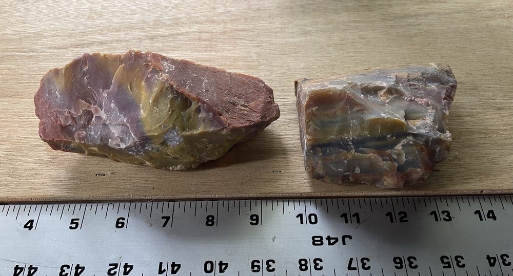 Petrified Wood Collection