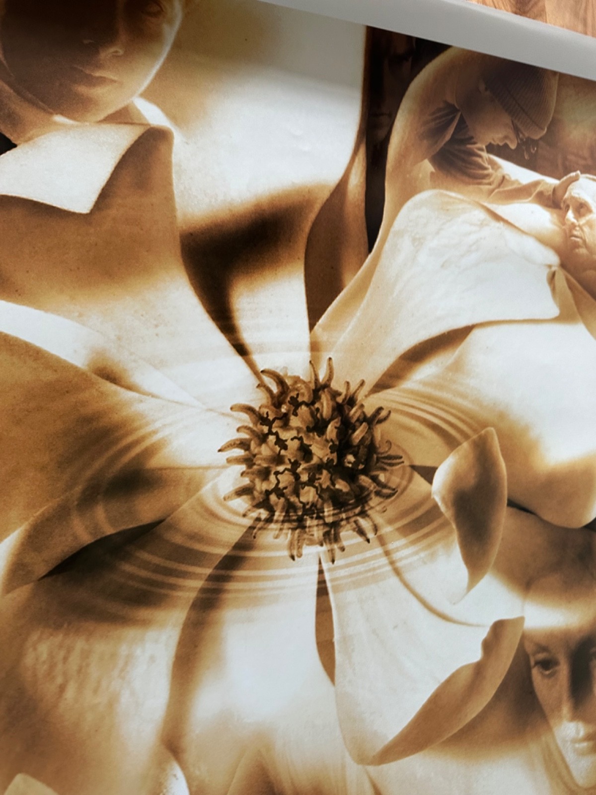 MAGNOLIA Movie Poster 27 x 40 ONE SHEET TOM CRUSIE JULIANNE MOORE